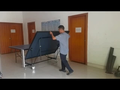 Doppia Tabella pieghevole di ping-pong